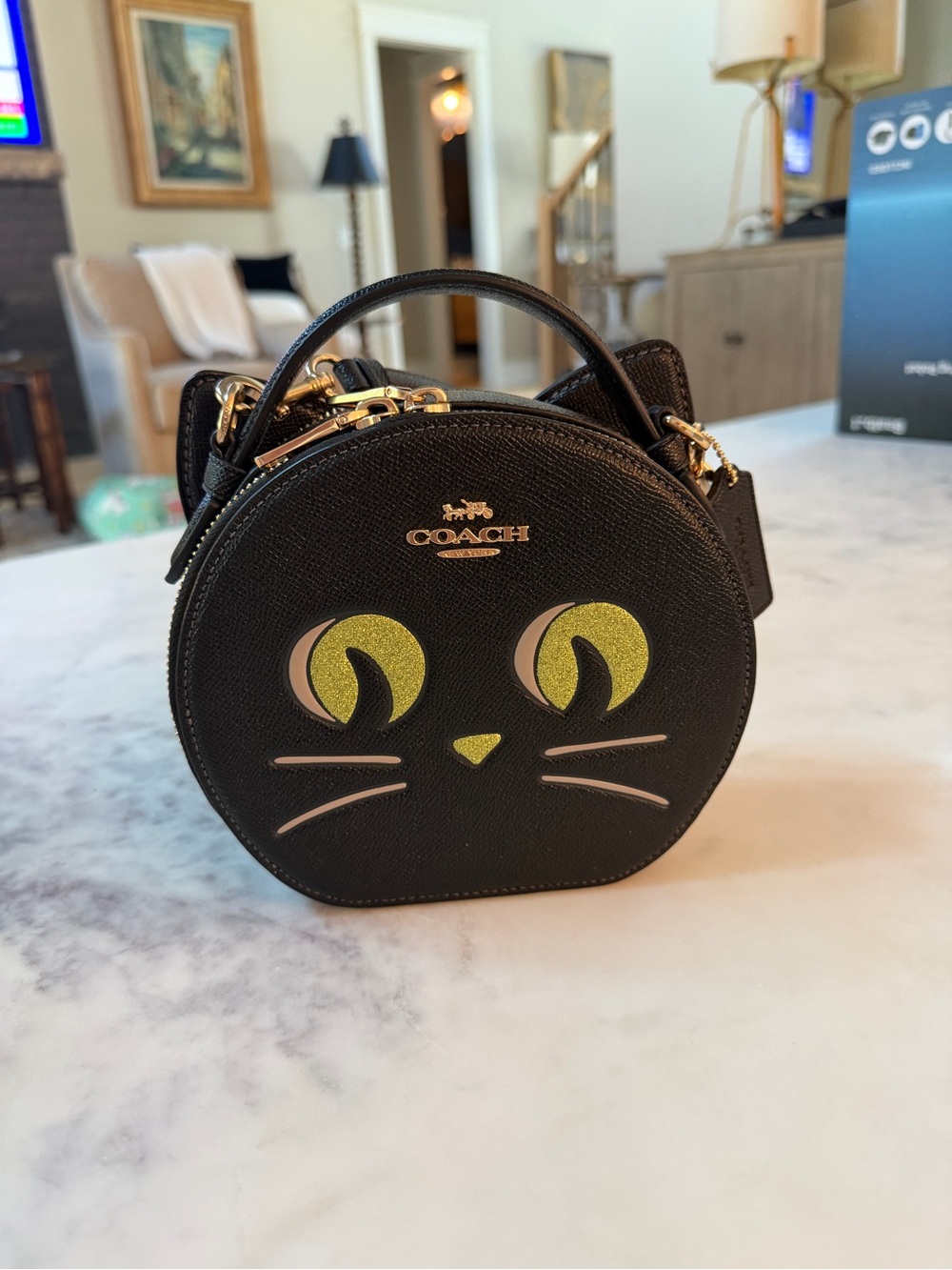Coach Black Cat Round Top-Handle Mini Bag with Green Eyes